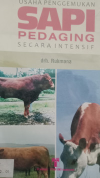 Image of Usaha Penggemukan Sapi Pedaging Secara Intensif